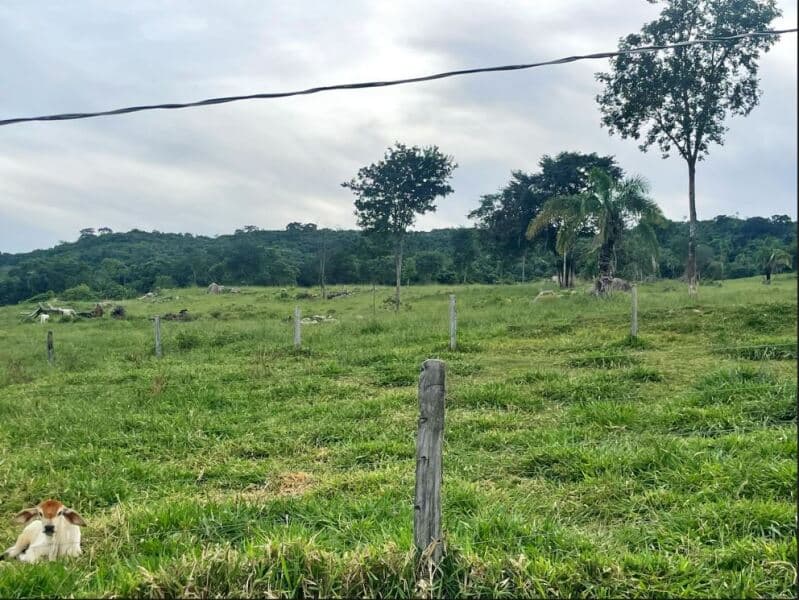 Foto 3 de 4: Area Rural em leilão em Iporá - GO — LOTE 003 Terreno rural com ou sem benfeitoria
