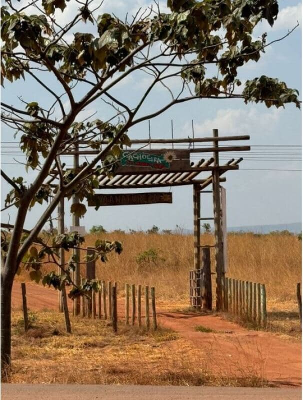 Foto 1 de 7: Terreno em leilão em Cocalzinho De Goiás - GO — LOTE 001 Terreno rural com ou sem benfeitoria