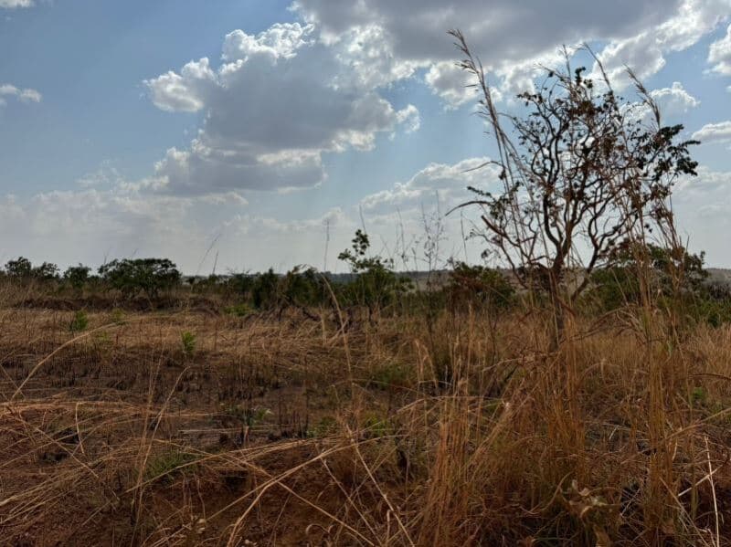 Foto 3 de 7: Terreno em leilão em Cocalzinho De Goiás - GO — LOTE 001 Terreno rural com ou sem benfeitoria