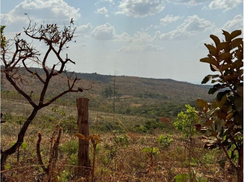 Foto 4 de 7: Terreno em leilão em Cocalzinho De Goiás - GO — LOTE 001 Terreno rural com ou sem benfeitoria