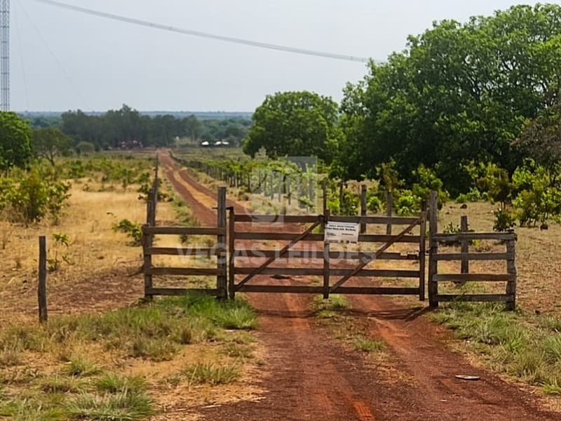 Area Rural em leilão em Flores De Goiás - GO — LOTE 001 Fazenda em Flores de Goiás/GO