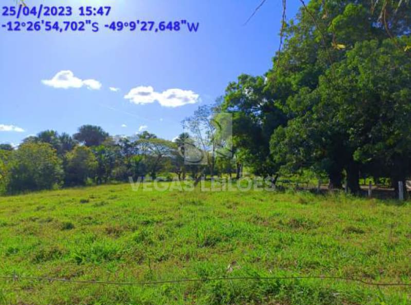 Foto 5 de 17: Area Rural em leilão em Alvorada - TO — LOTE 001 Área de terras em Alvorada/TO