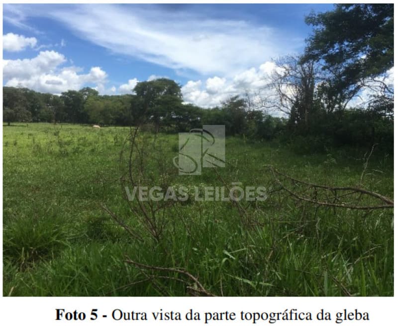 Foto 6 de 8: Casa em leilão em Ribeirão Preto - SP — LOTE 001 Chácara Recanto das Palmeiras, Ribeirão Preto/SP
