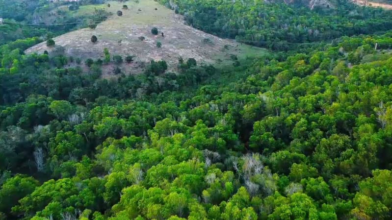 Foto 3 de 28: Terreno em leilão em Teixeira De Freitas - BA — LOTE 001 terreno com 15 hectares (150 mil m²)/ Teixeira de Freitas/ BA