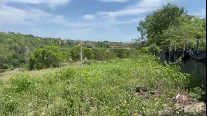 Foto 26 de 28: Terreno em leilão em Teixeira De Freitas - BA — LOTE 001 terreno com 15 hectares (150 mil m²)/ Teixeira de Freitas/ BA
