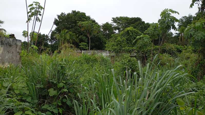 Foto 7 de 7: Terreno em leilão em Senador Guiomard - AC, bairro Naire Leite — LOTE 004 IMOVEL URBANOS COM 3.312,69m² EM SENADOR GUIOMARD