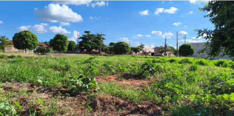 Foto 1 de 2: Terreno em leilão em Pérola - PR, bairro Bella Itália — LOTE 002 Lote urbano; Área de 245 m131