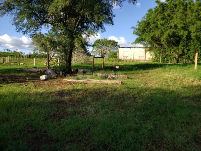 Area Rural em leilão em Tuparendi - RS — LOTE 004 FRAÇÃO DE TERRAS RURAIS C/ÁREA DE 44.912m² -TUPARENDI/RS-