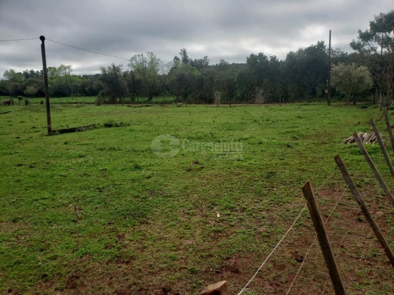 Foto 3 de 14: Terreno em leilão em Salvador Das Missões - RS — LOTE 002 20.029,729729m², da Linha Terceira (Santo Antônio), Salvador das Missões/RS