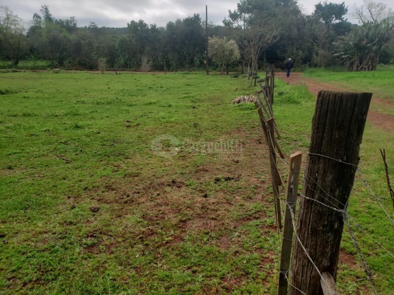 Foto 4 de 14: Terreno em leilão em Salvador Das Missões - RS — LOTE 002 20.029,729729m², da Linha Terceira (Santo Antônio), Salvador das Missões/RS