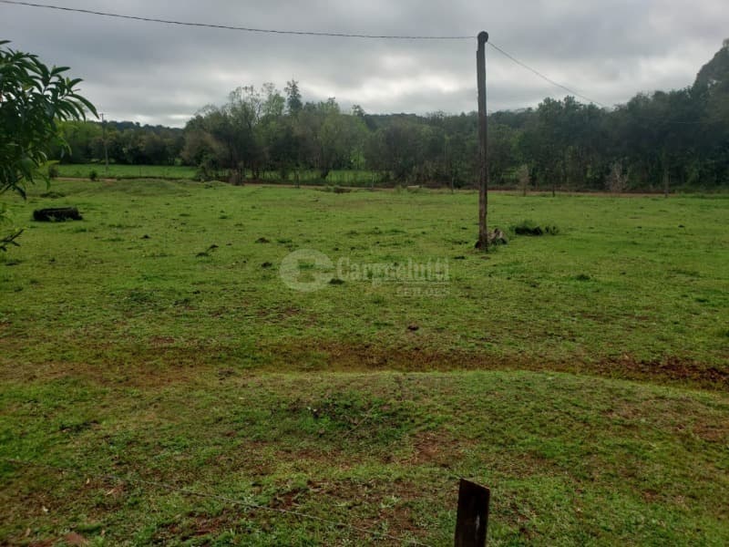 Foto 5 de 14: Terreno em leilão em Salvador Das Missões - RS — LOTE 002 20.029,729729m², da Linha Terceira (Santo Antônio), Salvador das Missões/RS