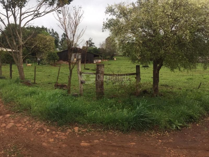 Foto 6 de 14: Terreno em leilão em Salvador Das Missões - RS — LOTE 002 20.029,729729m², da Linha Terceira (Santo Antônio), Salvador das Missões/RS