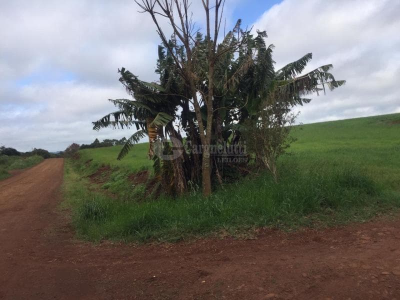 Foto 7 de 14: Terreno em leilão em Salvador Das Missões - RS — LOTE 002 20.029,729729m², da Linha Terceira (Santo Antônio), Salvador das Missões/RS