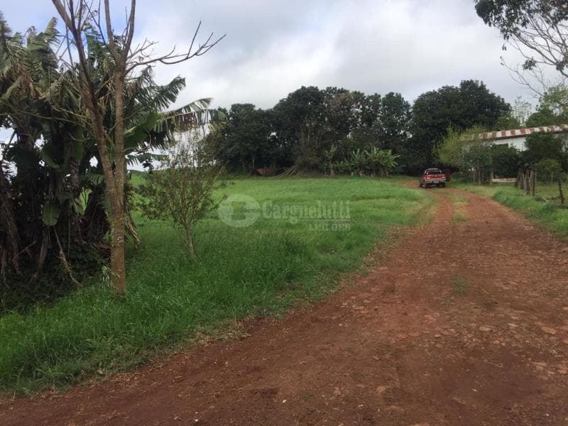 Foto 8 de 14: Terreno em leilão em Salvador Das Missões - RS — LOTE 002 20.029,729729m², da Linha Terceira (Santo Antônio), Salvador das Missões/RS