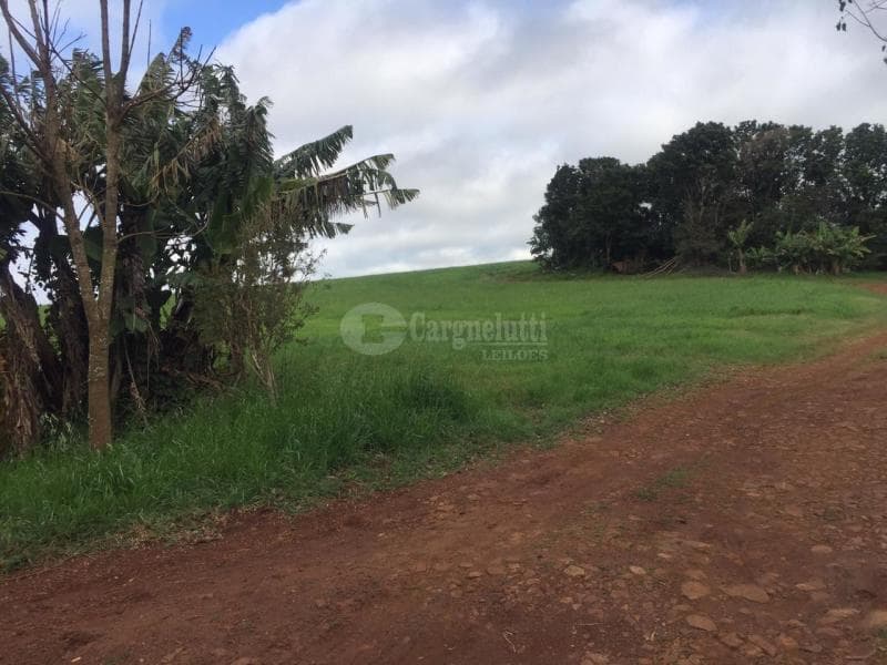 Foto 10 de 14: Terreno em leilão em Salvador Das Missões - RS — LOTE 002 20.029,729729m², da Linha Terceira (Santo Antônio), Salvador das Missões/RS