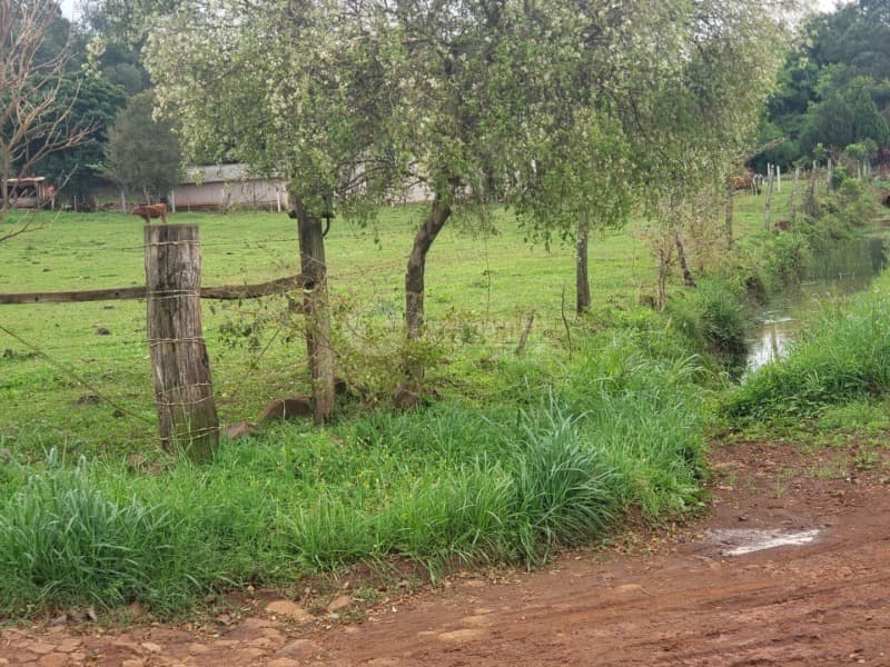 Foto 12 de 14: Terreno em leilão em Salvador Das Missões - RS — LOTE 002 20.029,729729m², da Linha Terceira (Santo Antônio), Salvador das Missões/RS