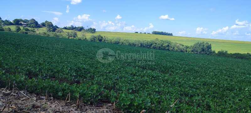 Foto 2 de 9: Area Rural em leilão em Tuparendi - RS — LOTE 001-2 fração de terras rurais, com área de 50.000m², dentro de área maior de 213.000m², da 13ª