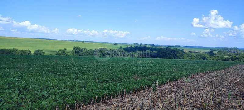 Foto 3 de 9: Area Rural em leilão em Tuparendi - RS — LOTE 001-2 fração de terras rurais, com área de 50.000m², dentro de área maior de 213.000m², da 13ª