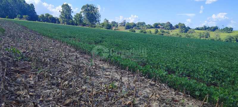 Foto 4 de 9: Area Rural em leilão em Tuparendi - RS — LOTE 001-2 fração de terras rurais, com área de 50.000m², dentro de área maior de 213.000m², da 13ª