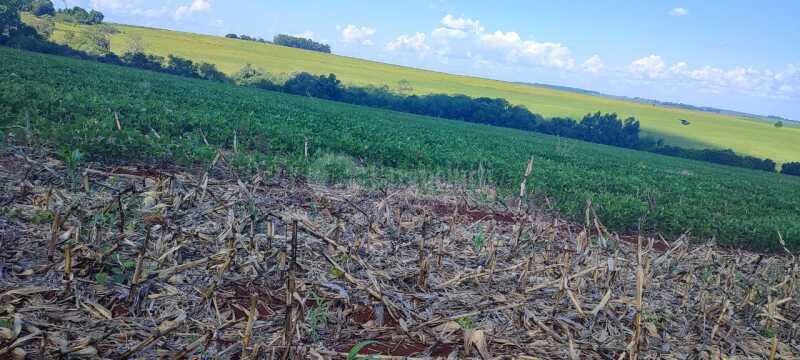 Foto 5 de 9: Area Rural em leilão em Tuparendi - RS — LOTE 001-2 fração de terras rurais, com área de 50.000m², dentro de área maior de 213.000m², da 13ª