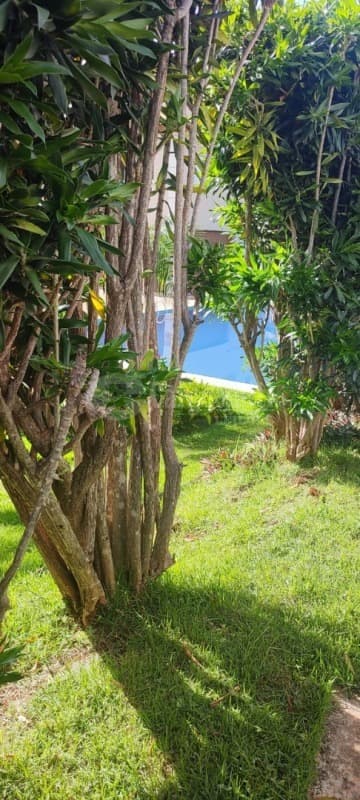 Foto 6 de 11: Apartamento em leilão em Anápolis - GO — LOTE 075 ANAPOLIS/GO