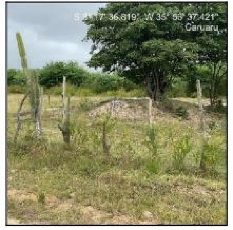 Terreno em leilão em Goiana - PE — LOTE 280 GOIANA/PE