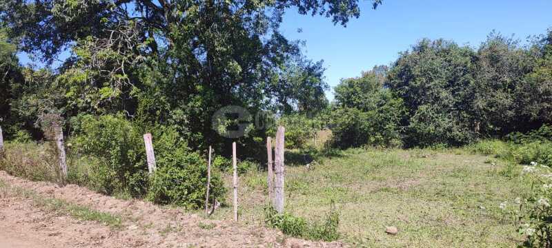 Foto 5 de 12: Terreno em leilão em Santa Maria - RS — LOTE 006 Três lotes de terrenos, sob nº 08, 09 e 10, da quadra “B, do Loteamento Denominado Vila San