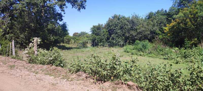 Foto 6 de 12: Terreno em leilão em Santa Maria - RS — LOTE 006 Três lotes de terrenos, sob nº 08, 09 e 10, da quadra “B, do Loteamento Denominado Vila San