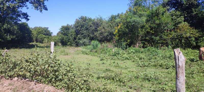 Foto 7 de 12: Terreno em leilão em Santa Maria - RS — LOTE 006 Três lotes de terrenos, sob nº 08, 09 e 10, da quadra “B, do Loteamento Denominado Vila San