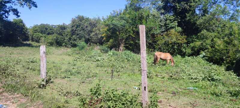 Foto 10 de 12: Terreno em leilão em Santa Maria - RS — LOTE 006 Três lotes de terrenos, sob nº 08, 09 e 10, da quadra “B, do Loteamento Denominado Vila San