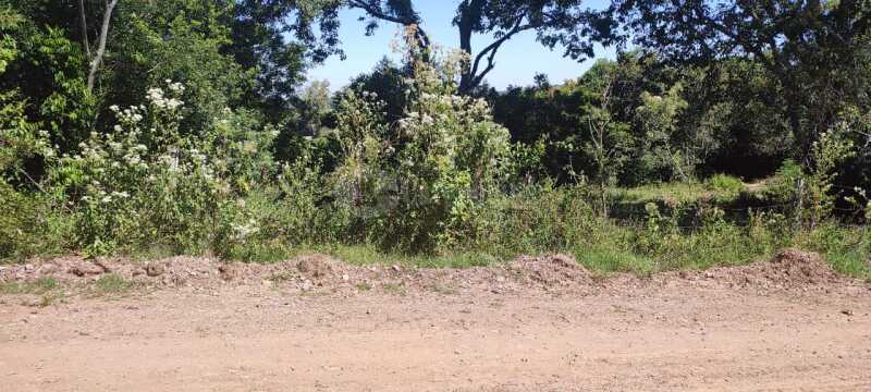 Foto 12 de 12: Terreno em leilão em Santa Maria - RS — LOTE 006 Três lotes de terrenos, sob nº 08, 09 e 10, da quadra “B, do Loteamento Denominado Vila San