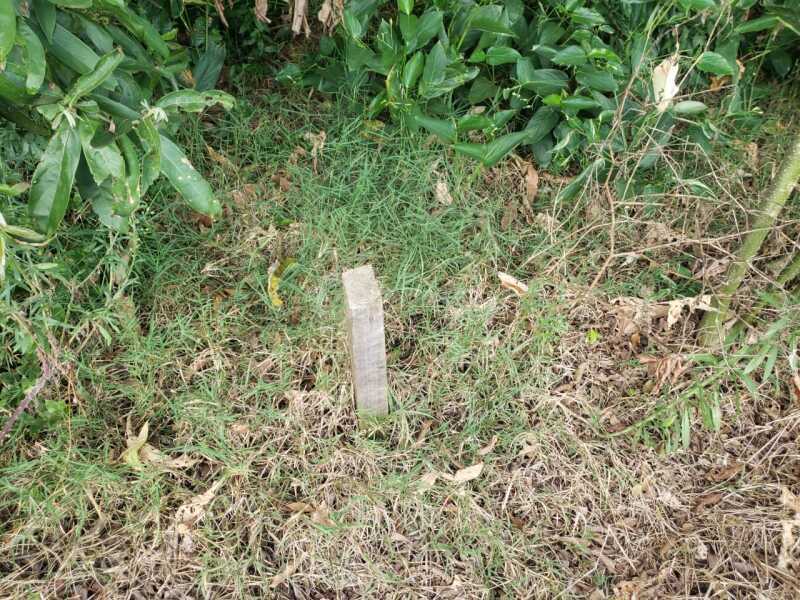 Foto 2 de 8: Terreno em leilão em Não-me-toque - RS — LOTE 001 Um terreno c/área de 2.320m² - São José do Centro - NÃO-ME-TOQUE/RS