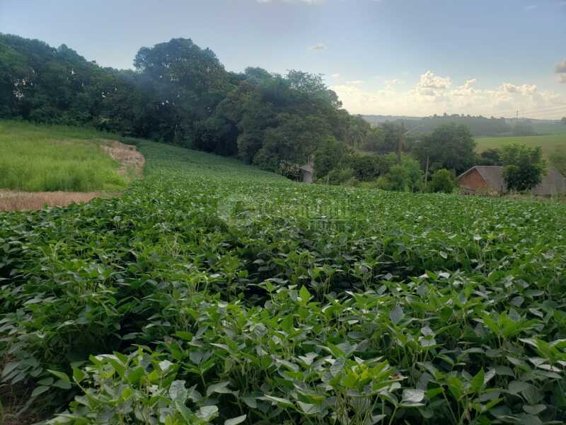 Foto 1 de 8: Terreno em leilão em Não-me-toque - RS — LOTE 001 Um terreno c/área de 2.320m² - São José do Centro - NÃO-ME-TOQUE/RS