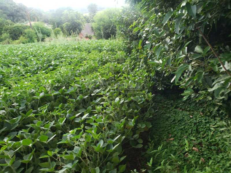 Foto 8 de 8: Terreno em leilão em Não-me-toque - RS — LOTE 001 Um terreno c/área de 2.320m² - São José do Centro - NÃO-ME-TOQUE/RS