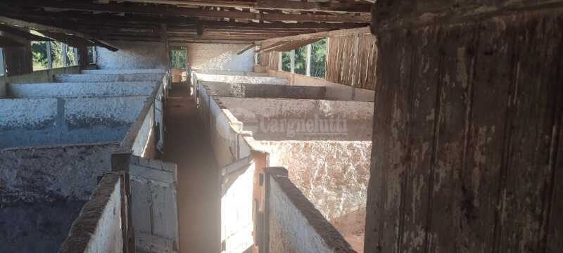 Foto 6 de 17: Casa em leilão em Santo Antônio Do Planalto - RS — LOTE 001 38,57142% do imóvel, uma fração de terras de cultura, c/área de 48.400m, com diversas benfe