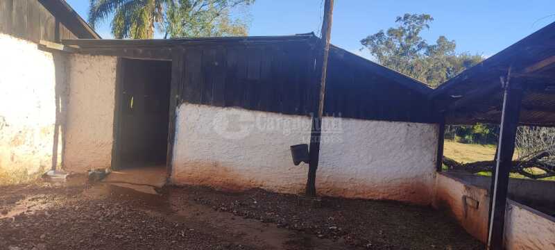 Foto 7 de 17: Casa em leilão em Santo Antônio Do Planalto - RS — LOTE 001 38,57142% do imóvel, uma fração de terras de cultura, c/área de 48.400m, com diversas benfe