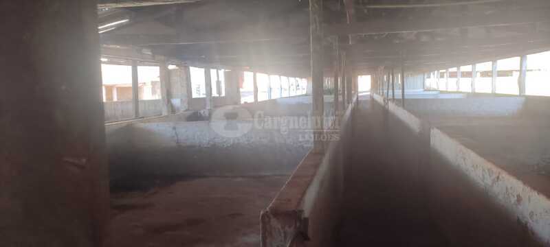 Foto 11 de 17: Casa em leilão em Santo Antônio Do Planalto - RS — LOTE 001 38,57142% do imóvel, uma fração de terras de cultura, c/área de 48.400m, com diversas benfe
