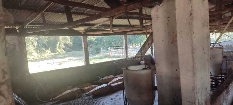 Foto 12 de 17: Casa em leilão em Santo Antônio Do Planalto - RS — LOTE 001 38,57142% do imóvel, uma fração de terras de cultura, c/área de 48.400m, com diversas benfe