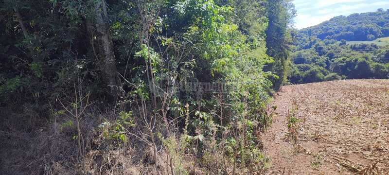 Foto 5 de 6: Imóvel em leilão em Alto Alegre - RS — LOTE 001 A área ideal de 27.830m² - SOLEDADE/RS -