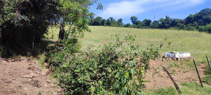 Imóvel em leilão em Soledade - RS — LOTE 001 A área ideal de 27.830m² - ALTO ALEGRE/RS -