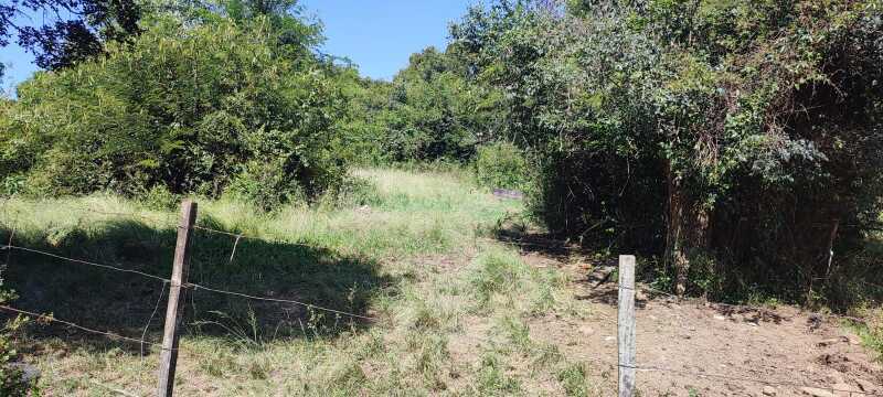 Foto 4 de 6: Imóvel em leilão em Alto Alegre - RS — LOTE 001 A área ideal de 27.830m² - SOLEDADE/RS -