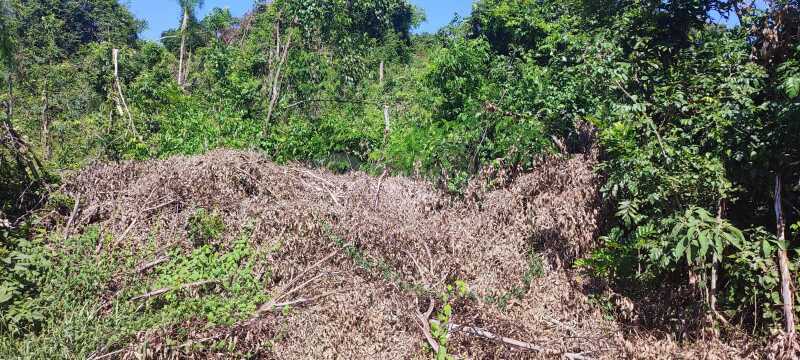 Foto 6 de 6: Imóvel em leilão em Alto Alegre - RS — LOTE 001 A área ideal de 27.830m² - SOLEDADE/RS -