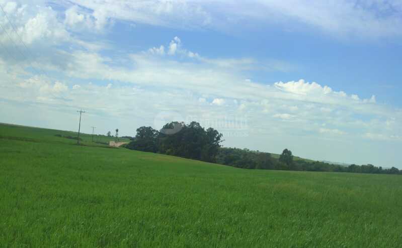 Foto 3 de 6: Casa em leilão em Jóia - RS — LOTE 002 Uma fração de terras c/área de 29ha, sita no lugar denominado RINCÃO DOS PIRES - JÓIA/RS -