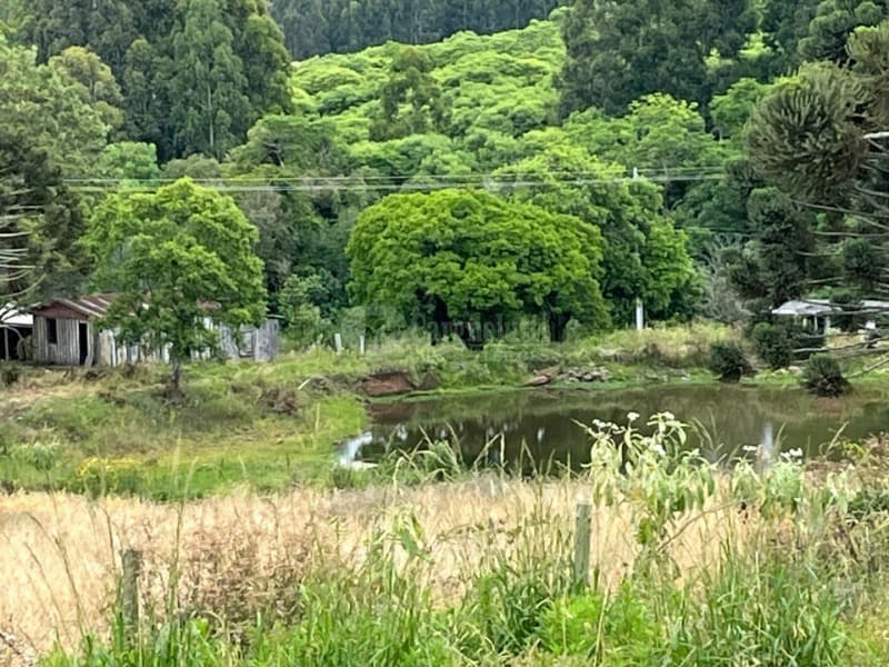 Foto 4 de 6: Area Rural em leilão em Soledade - RS — LOTE 001 A parte de terras rurais no lugar denominado “Espraiado”, c/área de 63.000m², sobre o imóve