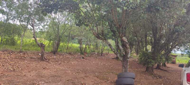 Foto 8 de 8: Area Rural em leilão em Porto Lucena - RS — LOTE 002 5.000m² na Linha 1° de Março, Porto Lucena/RS