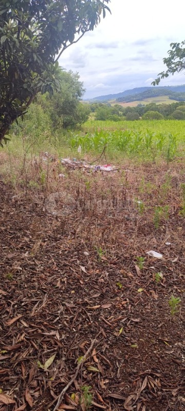 Foto 2 de 8: Area Rural em leilão em Porto Lucena - RS — LOTE 002 5.000m² na Linha 1° de Março, Porto Lucena/RS