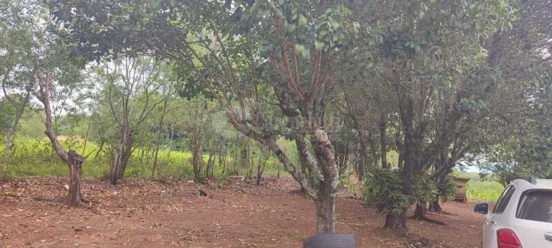 Foto 6 de 8: Area Rural em leilão em Porto Lucena - RS — LOTE 002 5.000m² na Linha 1° de Março, Porto Lucena/RS