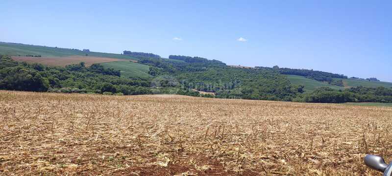 Foto 1 de 11: Terreno em leilão em Nova Ramada - RS — LOTE 006 A parte ideal de 26.983,50m² (R-4/4.698), sem benfeitorias - NOVA RAMADA/RS