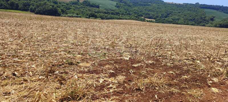 Foto 2 de 11: Terreno em leilão em Nova Ramada - RS — LOTE 006 A parte ideal de 26.983,50m² (R-4/4.698), sem benfeitorias - NOVA RAMADA/RS