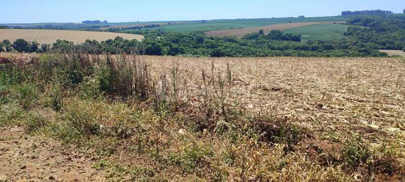 Foto 3 de 11: Terreno em leilão em Nova Ramada - RS — LOTE 006 A parte ideal de 26.983,50m² (R-4/4.698), sem benfeitorias - NOVA RAMADA/RS